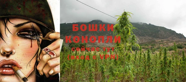 стафф Бородино