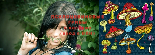 трава Бугульма