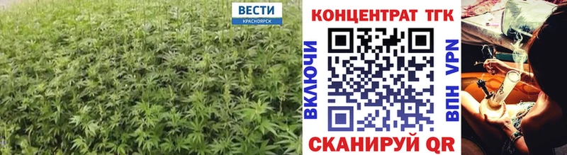 ссылка на мегу ССЫЛКА  Ковылкино  Дистиллят ТГК THC oil  дарнет шоп 