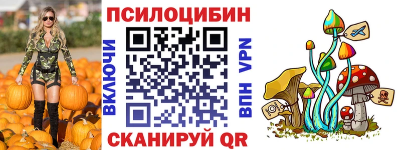 Псилоцибиновые грибы мицелий  omg онион  Ковылкино 